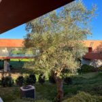 Carrilho da Graça's 14 Houses at Quinta do Bom Sucesso Resort showcasing a modern hacienda style with landscaped gardens, shrubs, and a spacious backyard.
