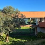 Carrilho da Graça's 14 Houses at Quinta do Bom Sucesso Resort showcasing modern architecture with a landscaped garden, shaded areas, and a spacious yard surrounded by shrubs and woody plants.