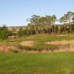 Donald Steel's Bom Sucesso Resort Golf Course showcasing expansive grassland and meadows with a meticulously designed sports venue layout.