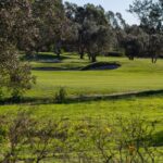 Donald Steel's Bom Sucesso Resort Golf Course showcasing a lush grass landscape with trees and a natural environment, featuring expansive grasslands and meadows.
