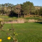 Donald Steel's design of the Bom Sucesso Resort Golf Course showcasing lush grass, natural environment, and sports venue elements with expansive grassland and shrubs.