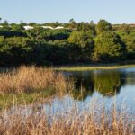 Donald Steel's Bom Sucesso Resort Golf Course showcasing a natural landscape with water features, marsh areas, and lush vegetation.