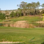 Donald Steel's design of the Bom Sucesso Resort Golf Course showcasing expansive grasslands and meadows with well-maintained fairways and greens.