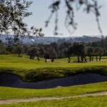 Donald Steel's design of the Bom Sucesso Resort Golf Course showcasing lush grassland, scattered trees, and a well-maintained landscape set against a serene meadow backdrop.
