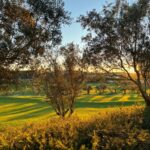 Donald Steel's Bom Sucesso Resort Golf Course showcasing a lush green landscape with expansive grasslands and natural environment elements.