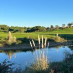 Donald Steel's Bom Sucesso Resort Golf Course showcasing a lush green landscape with expansive grasslands and natural plant surroundings.