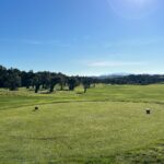 Donald Steel's design of the Bom Sucesso Resort Golf Course showcasing a lush green landscape with expansive grasslands and natural environment elements.