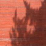 Eduardo Souto de Moura's House of Stories Paula Rego showcasing a striking red and orange exterior with wooden planks and brick elements.