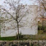 Guilherme Machado Vaz's House in Afife showcasing a minimalist design with a prominent wall and natural elements like twigs integrated into the landscape.