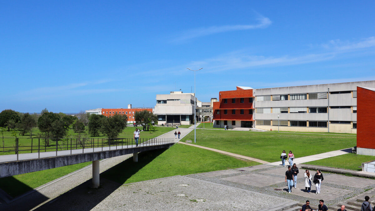 Department of Environment and Planning, University of Aveiro