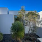 Manuel Aires Mateus's 7 Row Houses at Bom Sucesso Resort showcasing a modern design with a landscaped environment featuring perennial plants and Agave tequilana.