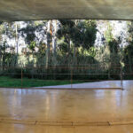 Manuel Aires Mateus and Francisco Aires Mateus' "Canteen and Dining Halls, University of Aveiro" showcasing a modern design with extensive use of glass for transparency, concrete elements, and ample daylighting.
