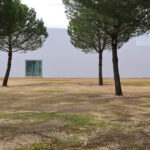 Manuel Aires Mateus's Primary School in Vila Nova da Barquinha showcasing a minimalist design with a flat roof, surrounded by landscaped grass and conifer trees, casting shadows on the plain.