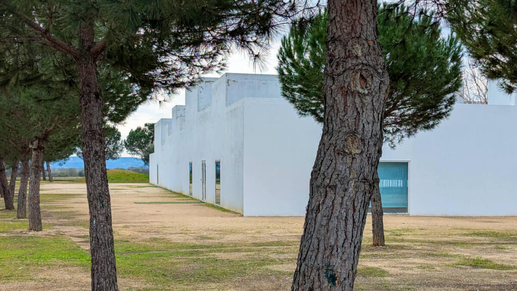 Manuel Aires Mateus's Primary School in Vila Nova da Barquinha showcasing a minimalist design with a flat roof, surrounded by landscaped lawns and public spaces with evergreen plants.