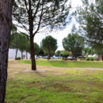 Manuel Aires Mateus's Primary School in Vila Nova da Barquinha showcasing a minimalist design with a white façade surrounded by trees and a grassy public space.