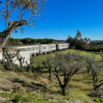 Nuno Graça Moura's 24 Row Houses at Bom Sucesso Resort showcasing a modern design with landscaped gardens, neatly trimmed hedges, and expansive lawns.