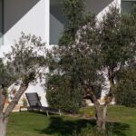 Nuno Graça Moura's 24 Row Houses at Bom Sucesso Resort showcasing a modern design with a lush garden, landscaped lawn, and shaded backyard.