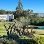 Nuno Graça Moura's 24 Row Houses at Bom Sucesso Resort showcasing a modern design with a landscaped garden, groundcover, and shrubbery surrounding the estate.