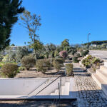 Nuno Graça Moura's 24 Row Houses at Bom Sucesso Resort showcasing a modern design with a landscaped garden, walkway, and lush groundcover.