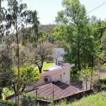 Álvaro Siza Vieira’s Casa David Vieira de Castro showcasing a minimalist white cubic structure with large windows, surrounded by lush vegetation, trees, and a landscaped garden in a rural residential area.