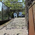 Álvaro Siza Vieira’s Casa David Vieira de Castro showcasing a stone wall and cobblestone walkway with flagstone accents, shaded by grapevines casting intricate shadows.