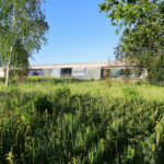André and António Fontes’ Projecto Homem showcasing a modern structure with a green rooftop surrounded by lush grassland and diverse vegetation including shrubs and plants.