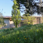 Projecto Homem by André Fontes and António Fontes showcasing a modern structure with a green rooftop garden surrounded by grass, shrubs, and a natural meadow landscape.