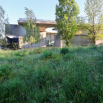 André and António Fontes’ Projecto Homem showcasing a backyard with a shaded plant community casting dynamic shadows.