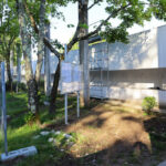 Eduardo Souto de Moura’s Mercado Municipal de Braga reconversion showcasing concrete walkways, landscaped backyard with woody plants and shaded branches.