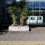 OPERA | Design Matters' Escola de Medicina, Universidade do Minho, showcasing a modern composite material façade with extensive glass panels, integrated shading elements, and landscaped yard enhancing daylighting and corporate headquarters design.