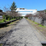 Unknown Architect’s Escola de Engenharia I at Universidade do Minho showcasing a modern walkway with clean lines and minimalist structural elements.