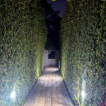 Unknown Architect’s Shower House Parque da Cidade showcasing a night view with landscape lighting, garden hedges, a walkway casting shadows, and integrated security light fixtures.