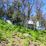 Unknown Architect’s Villa Brufe showcasing a modern structure nestled on a forested hillside with extensive vegetation, featuring natural integration with surrounding shrubs and dense plant community.