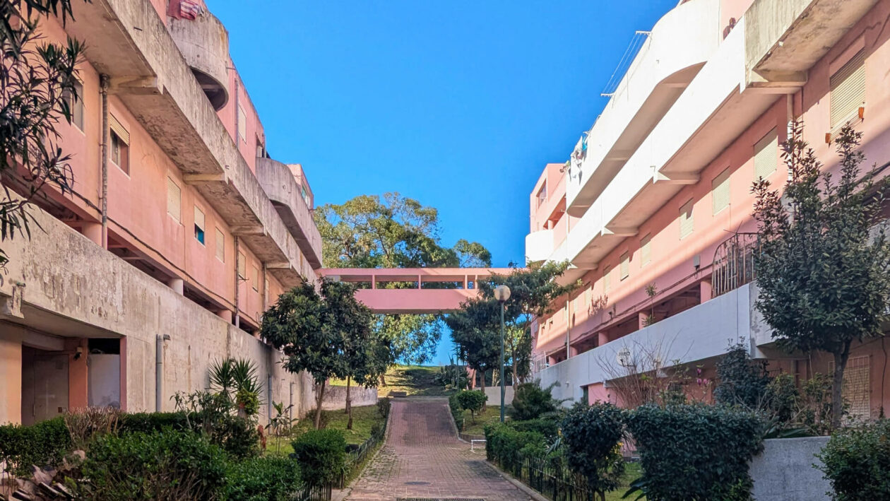 Pantera Cor-de-Rosa – Conjunto de Habitação Social