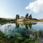 Nuno Graça Moura’s 24 Row Houses at Bom Sucesso Resort showcasing linear wooden structures with large glass façades overlooking a natural wetland pond and lacustrine plain, featuring reflections of the marsh and riparian zone in the water.