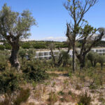 Nuno Graça Moura’s 24 Row Houses at Bom Sucesso Resort showcasing modern linear structures with integrated vegetation, shrubland surroundings, and expansive plain landscapes.