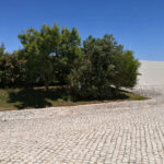 Nuno Graça Moura’s 8 Villas at Bom Sucesso Resort showcasing modern villas with concrete and flagstone driveways, landscaped walkways, cobblestone paths, and shaded outdoor areas.