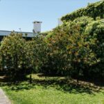 Antonio Corte-Real’s Maison de Vacances Esposende showcasing a modern design with landscaped gardens, hedges, shrubs, and shaded plantation areas surrounding the structure.