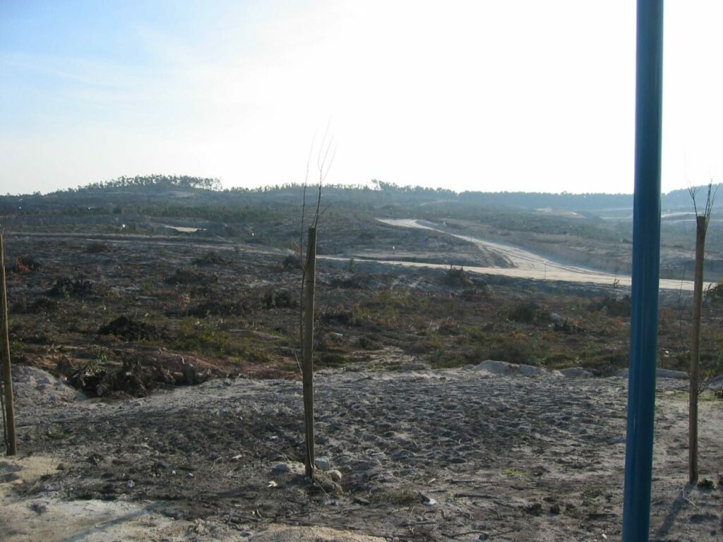 Bom Sucesso Resort Landscape Construction 11