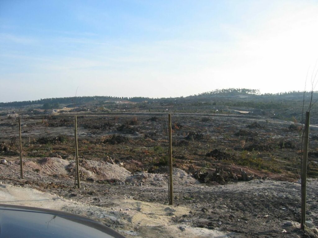 Bom Sucesso Resort Landscape Construction 12