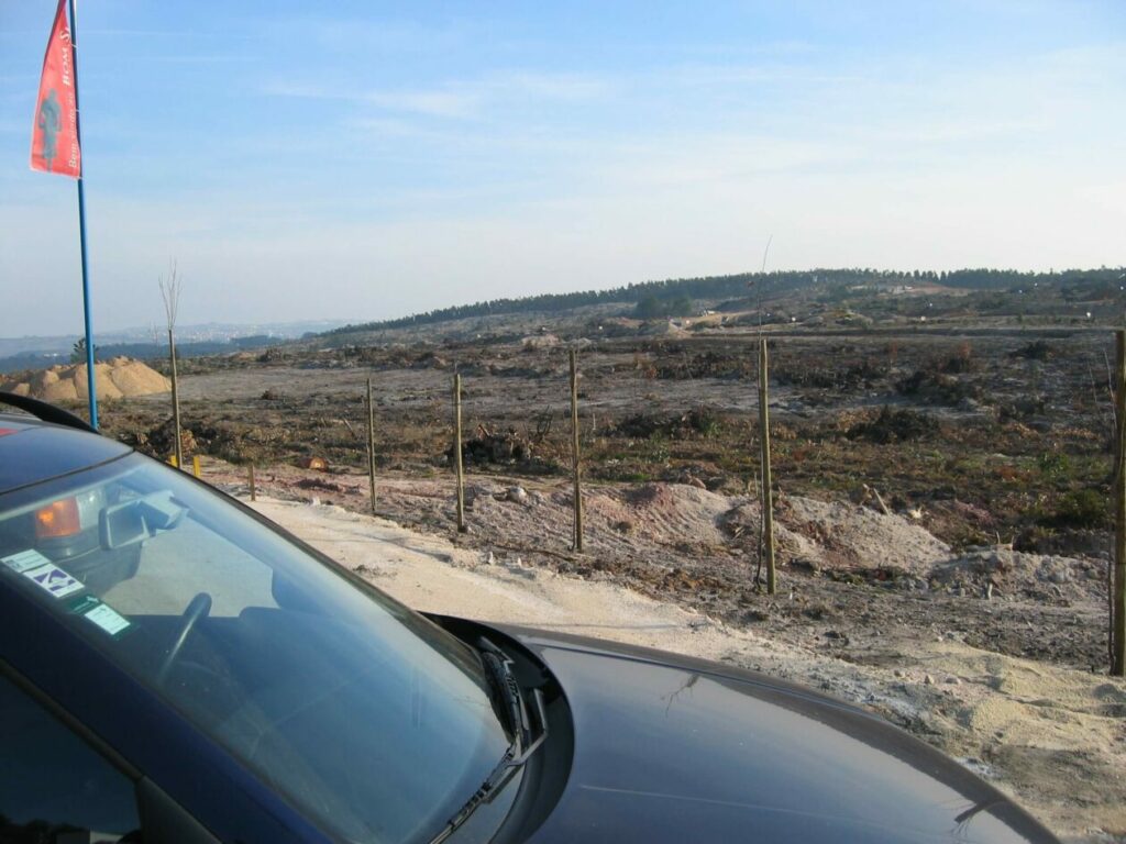 Bom Sucesso Resort Landscape Construction 13