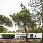 Casa da Rampa, Colares by Frederico Valsassina (3609) Frederico Valsassina’s Casa da Rampa showcasing a modern structure with clean lines, large glass façades, and integrated woody plants around the building.