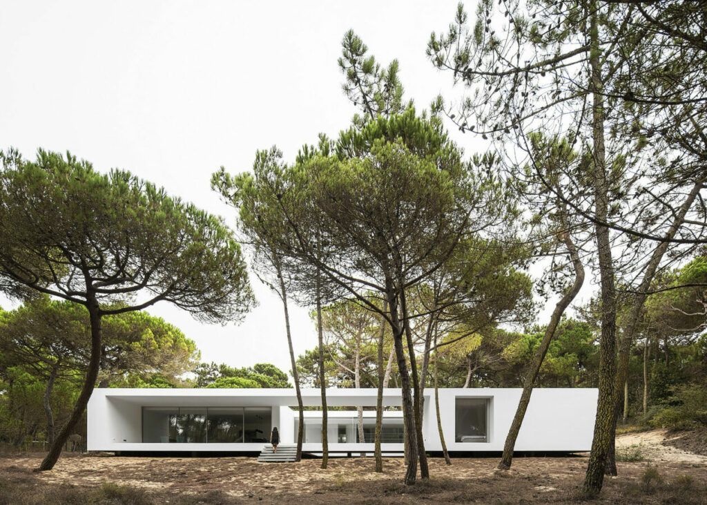 Modern Architecture Holiday Villas for Rent, Portugal 8 Frederico Valsassina Casa da Rampa 3614