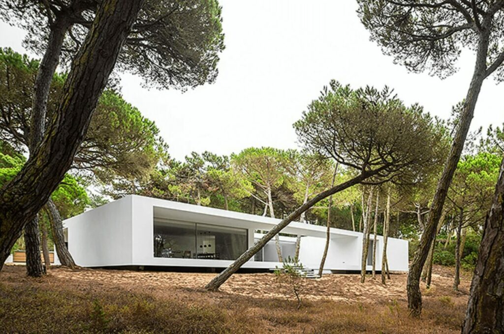 Frederico Valsassina’s Casa da Rampa showcasing a modern concrete villa with prominent palm trees surrounding the structure.