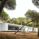 Casa da Rampa, Colares by Frederico Valsassina (3607) Frederico Valsassina’s Casa da Rampa showcasing a modern concrete villa with prominent palm trees surrounding the structure.