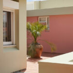Casa Veiga / Casa Portufornia, Colares by Manuel Tainha, Rui Costa Martins (3747) Manuel Tainha and Rui Costa Martins' Casa Veiga / Casa Portufornia showcasing a modern home with concrete walls, wood-stained floors, pink door accents, and indoor houseplants in flowerpots under natural shade.