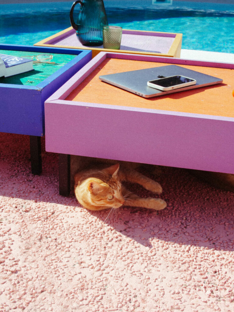 Casa Veiga — Today Casa Portufornia: A Mid-Century Gem Reimagined in Colares 16 hcbk7xy3a976fyxanxjg31e8ttscpdsr