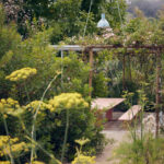 Casa Veiga / Casa Portufornia, Colares by Manuel Tainha, Rui Costa Martins (3736) Manuel Tainha and Rui Costa Martins’ Casa Veiga / Casa Portufornia showcasing a modern outdoor structure surrounded by lush vegetation, shrubs, and landscaped garden with groundcover plants in a shaded backyard setting.