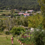 Casa Veiga / Casa Portufornia, Colares by Manuel Tainha, Rui Costa Martins (3755) Manuel Tainha and Rui Costa Martins' Casa Veiga / Casa Portufornia showcasing a modern rural residence with extensive glass façades, integrated garden landscape, and surrounding lush vegetation including shrubs and grass.