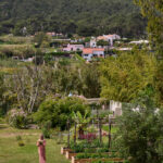 Casa Veiga / Casa Portufornia, Colares by Manuel Tainha, Rui Costa Martins (3756) Manuel Tainha and Rui Costa Martins' Casa Veiga / Casa Portufornia showcasing a modern rural residence with extensive vegetation, garden landscaping, and integrated groundcover surrounding the building.